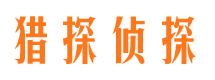 宁河市婚姻调查